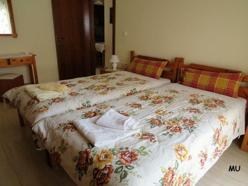 Holiday Dream Thalia Apartment Mastichari  Zewnętrze zdjęcie